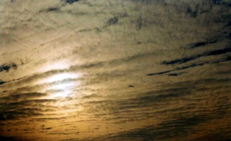 по дороге к солнцу