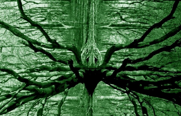 green dream