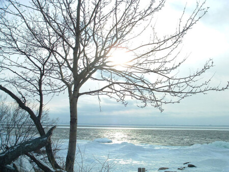 зима 2003 года