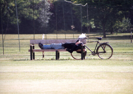 obyknovennyi sladkii son