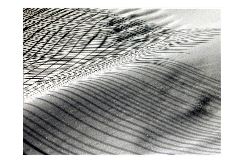 *Surface*