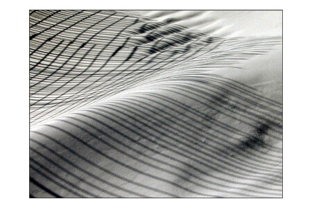 *Surface*