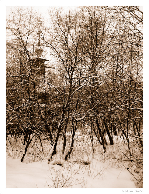 Solitude No. 5