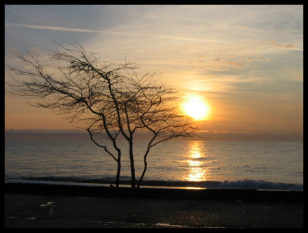 юг, декабрь, рано утром