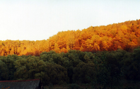 Вечная борьба