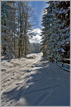 В горах Сербии 3