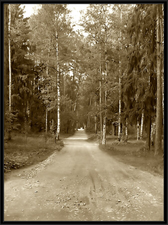 Wood...