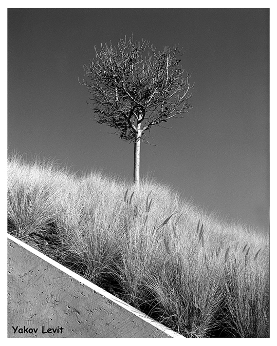 Untitled-2