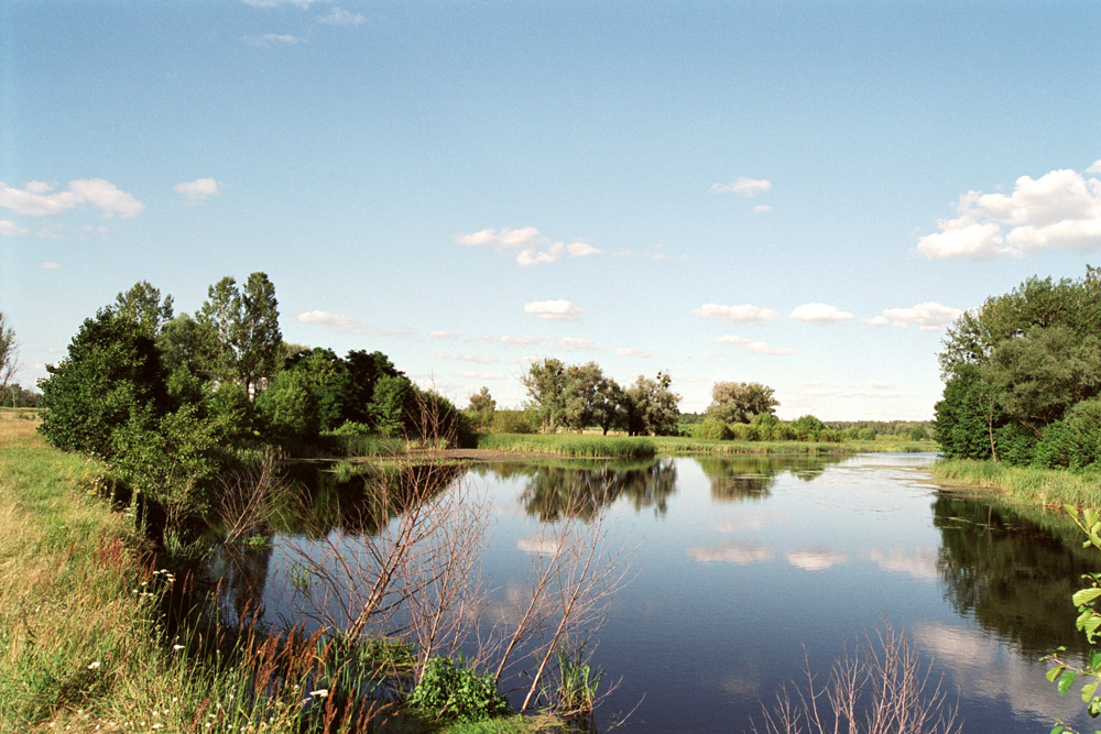 Жаркий летний день