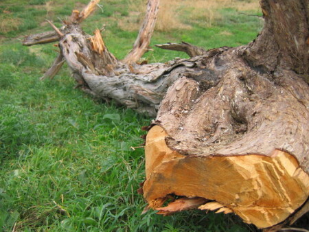 хранитель крепости