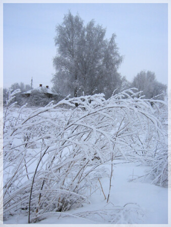 А ночью был снегопад...