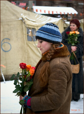 Розы для палаточного городка