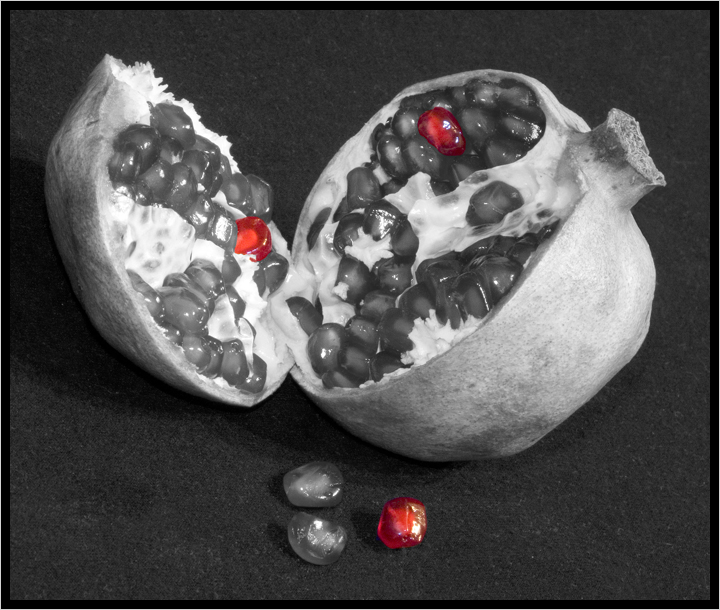 Pomegranate #2