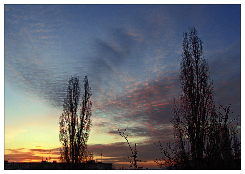 From my window 