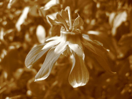 Просто миг. сила порыва