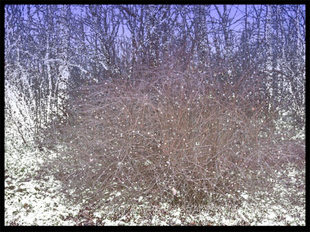 Композиция , искусственная ,как зима