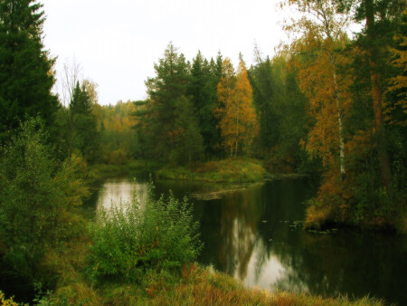 осень