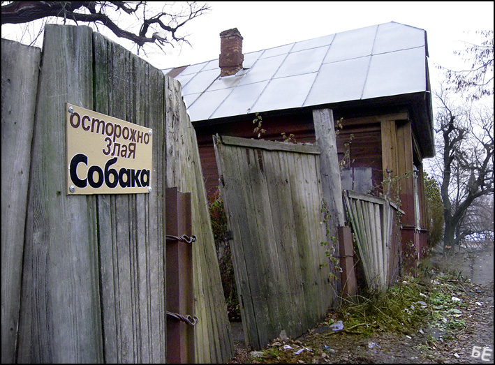 Собака не поможет