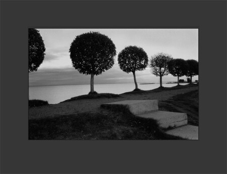 На закате заката