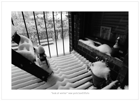 "LOOK AT WINTER" NEW YORK