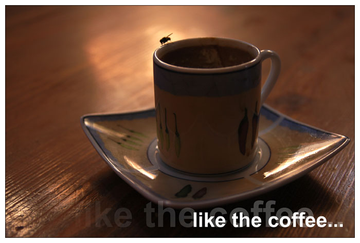 like the coffee...
