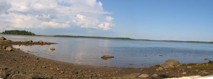 белое море 2004 (отлив)