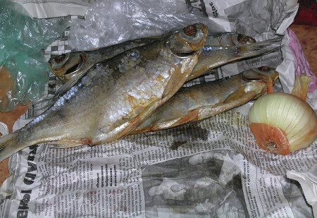 тараночка.....