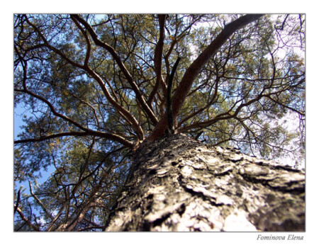 Тернистый путь на небо..))