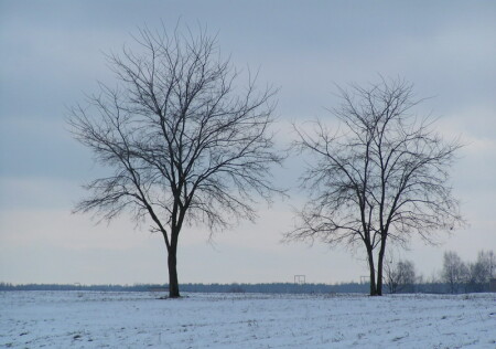Зимний пейзаж