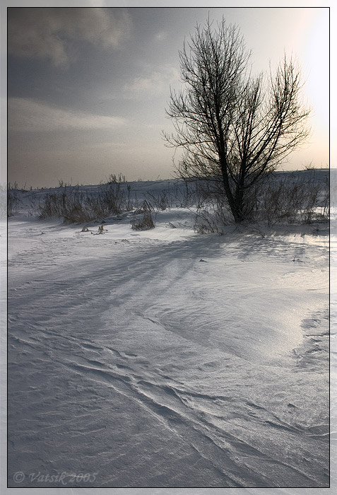 (2) Снежное Серебро...