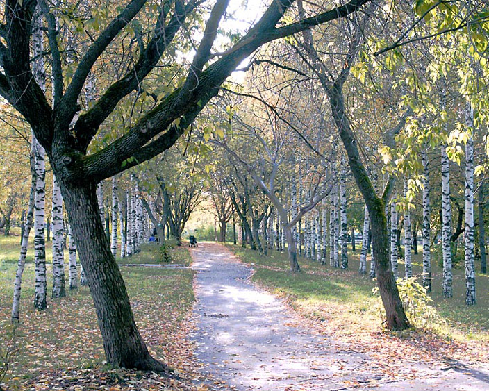 Осенний денёк в парке.