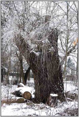 Зимние зарисовки