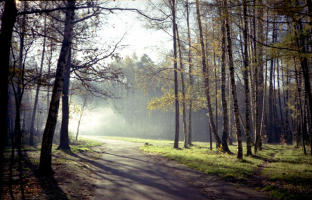 Утро в Измаилове.