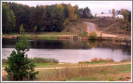 Акварель осени