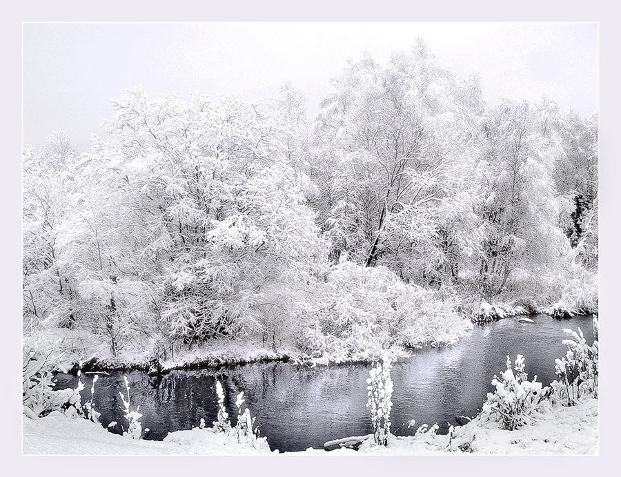 КУДЕСНИЦА ЗИМА.