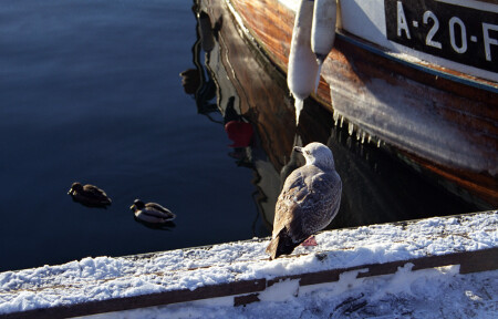 Зимний этюд