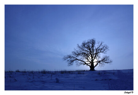 краденое солнце