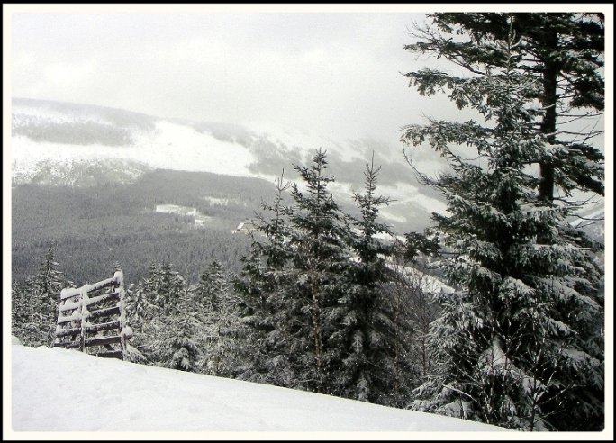 snowtime_#3