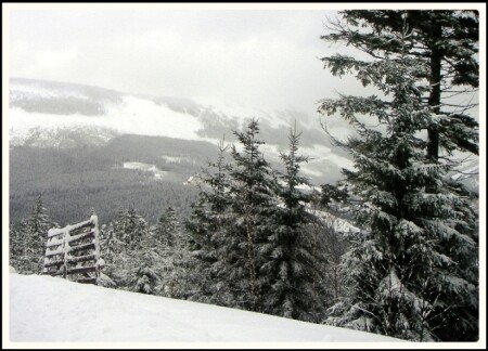 snowtime_#3