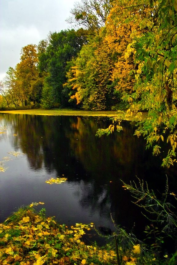 Мягкая осень