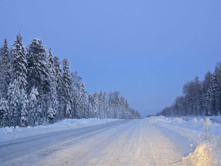 Рванём в синеву зимы?