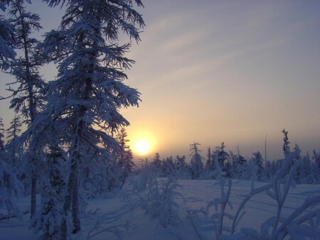 Полярное солнце