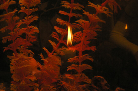 Свеча в аквариуме