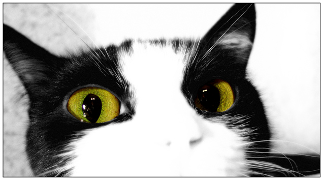Unreal Big EYEs