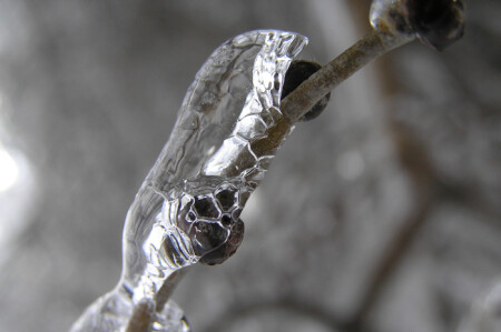 ЛЕДЯНЫЕ ОБЪЯТИЯ.