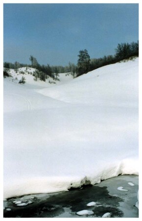 Полынья