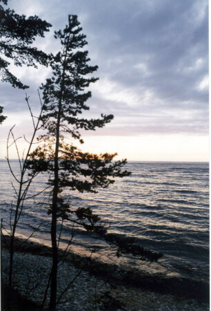 Одиночество на закате!