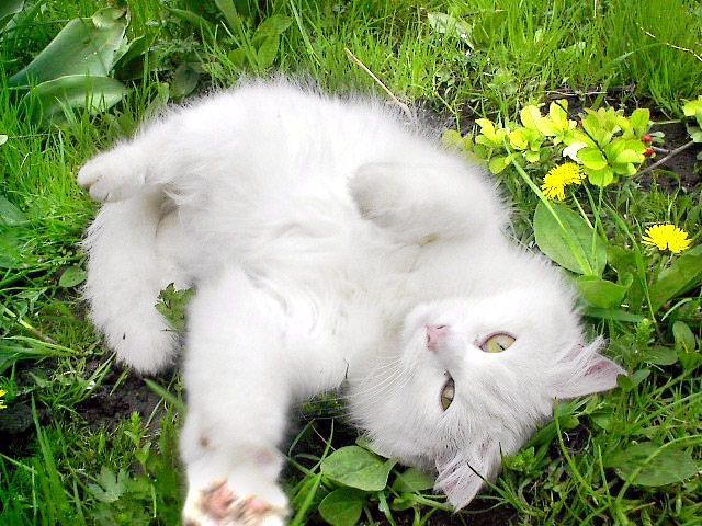 Жизнь в кайф!