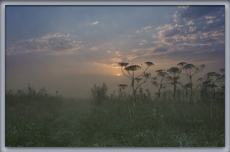 Рождение нового дня
