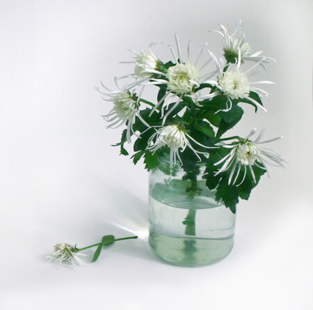 О своем, о женском..